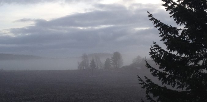 nearherewayaway misty field and trees